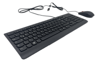 Lenovo Essential USB Tastatur + Maus Set - QWERTZ-  Neu / OVP (4X30L79897)